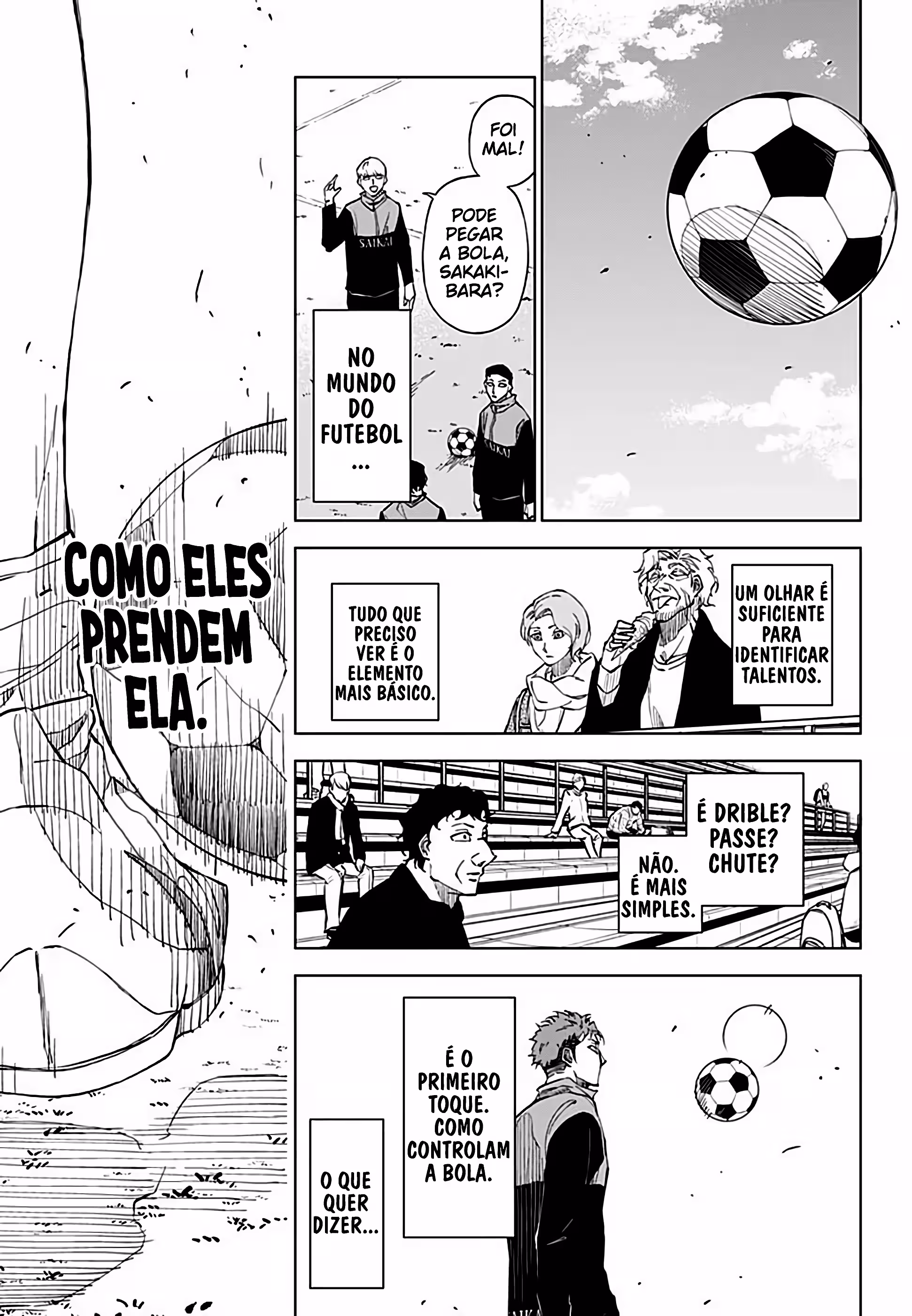 Cap 1 página 29