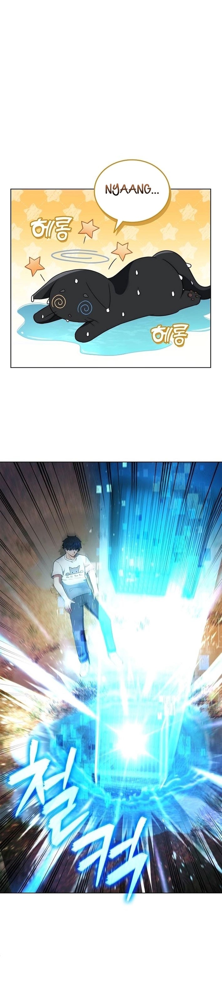 Cap 8 página 25