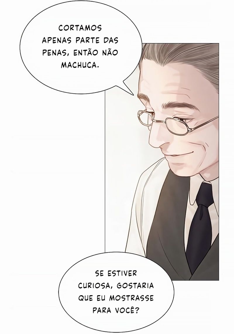 Cap 11 página 136