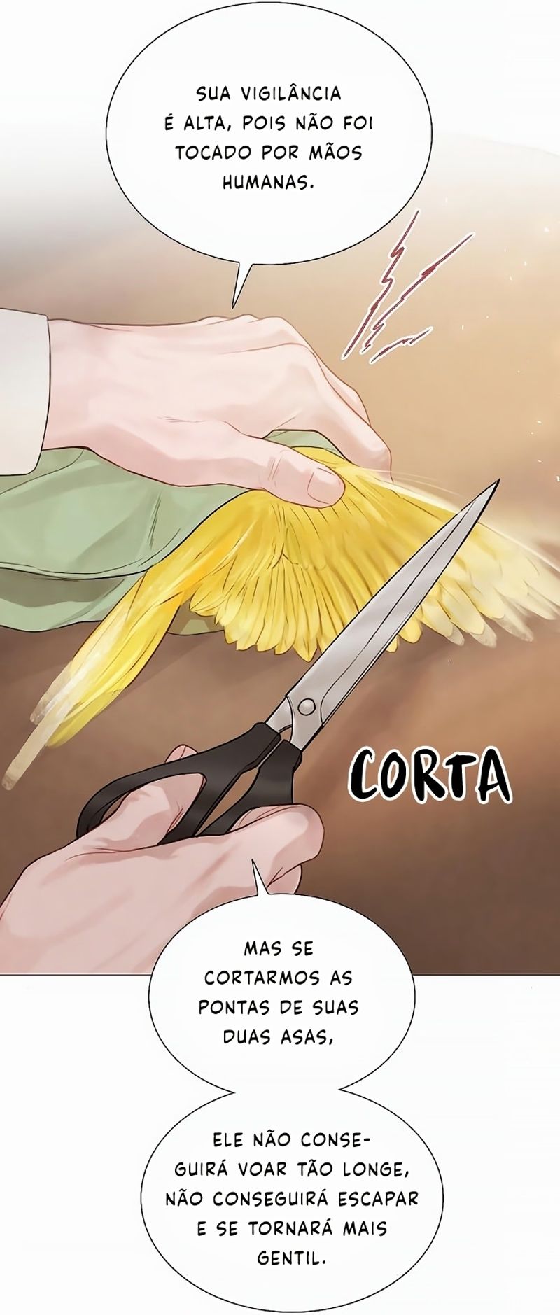 Cap 11 página 144