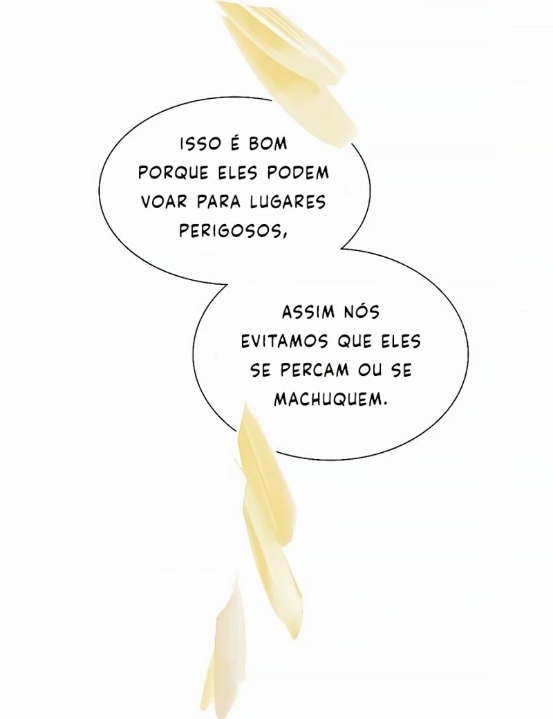 Cap 11 página 149