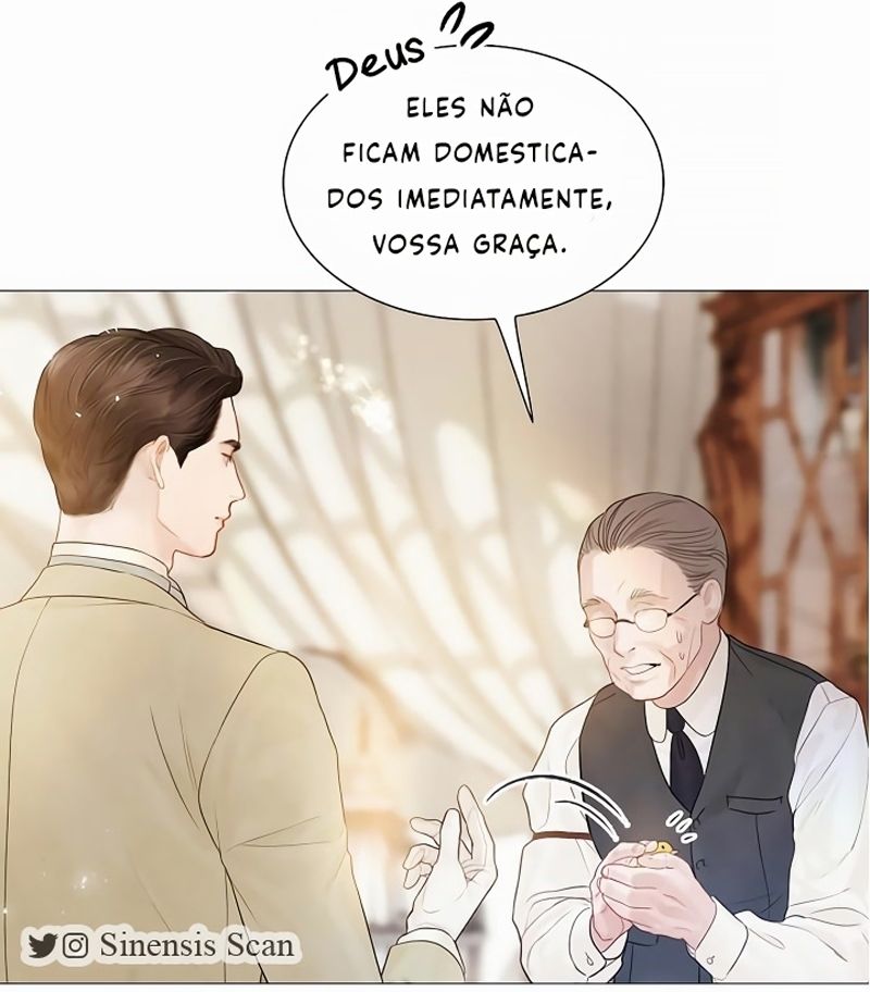 Cap 11 página 162