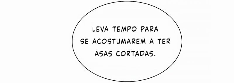 Cap 11 página 163