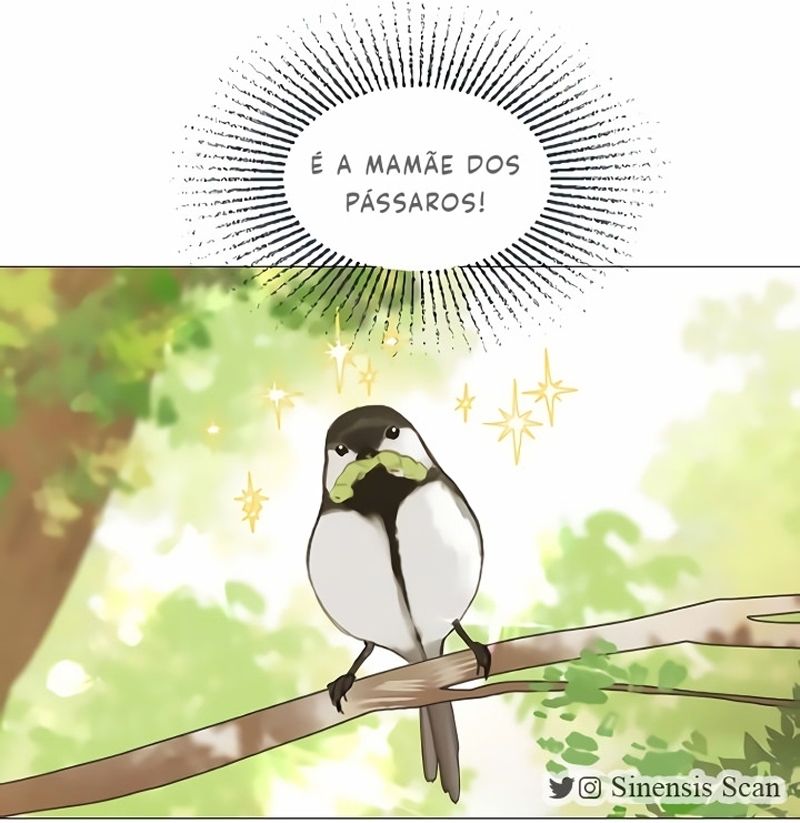 Cap 3 página 118