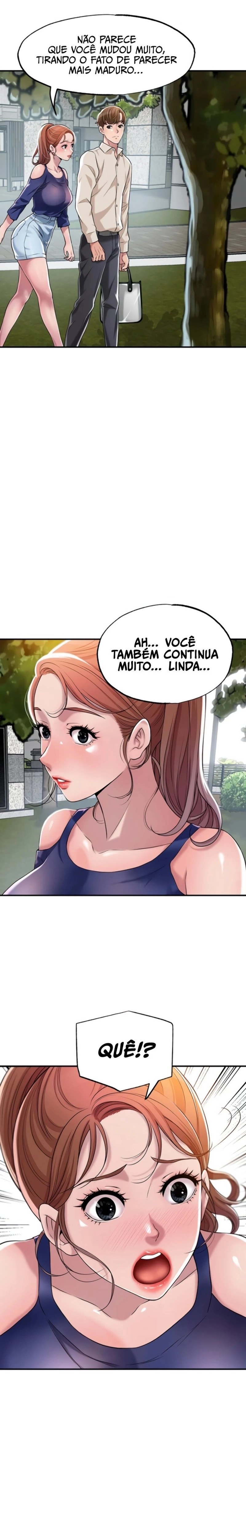 Cap 1 página 29