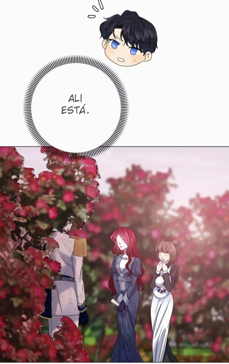 Cap 8 página 106