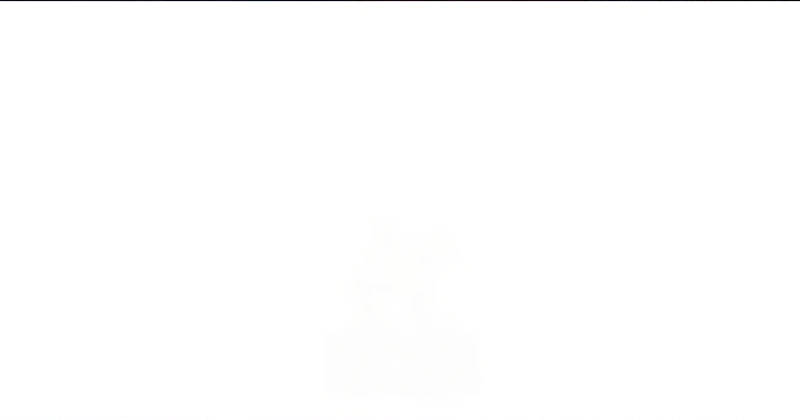 Cap 9 página 102
