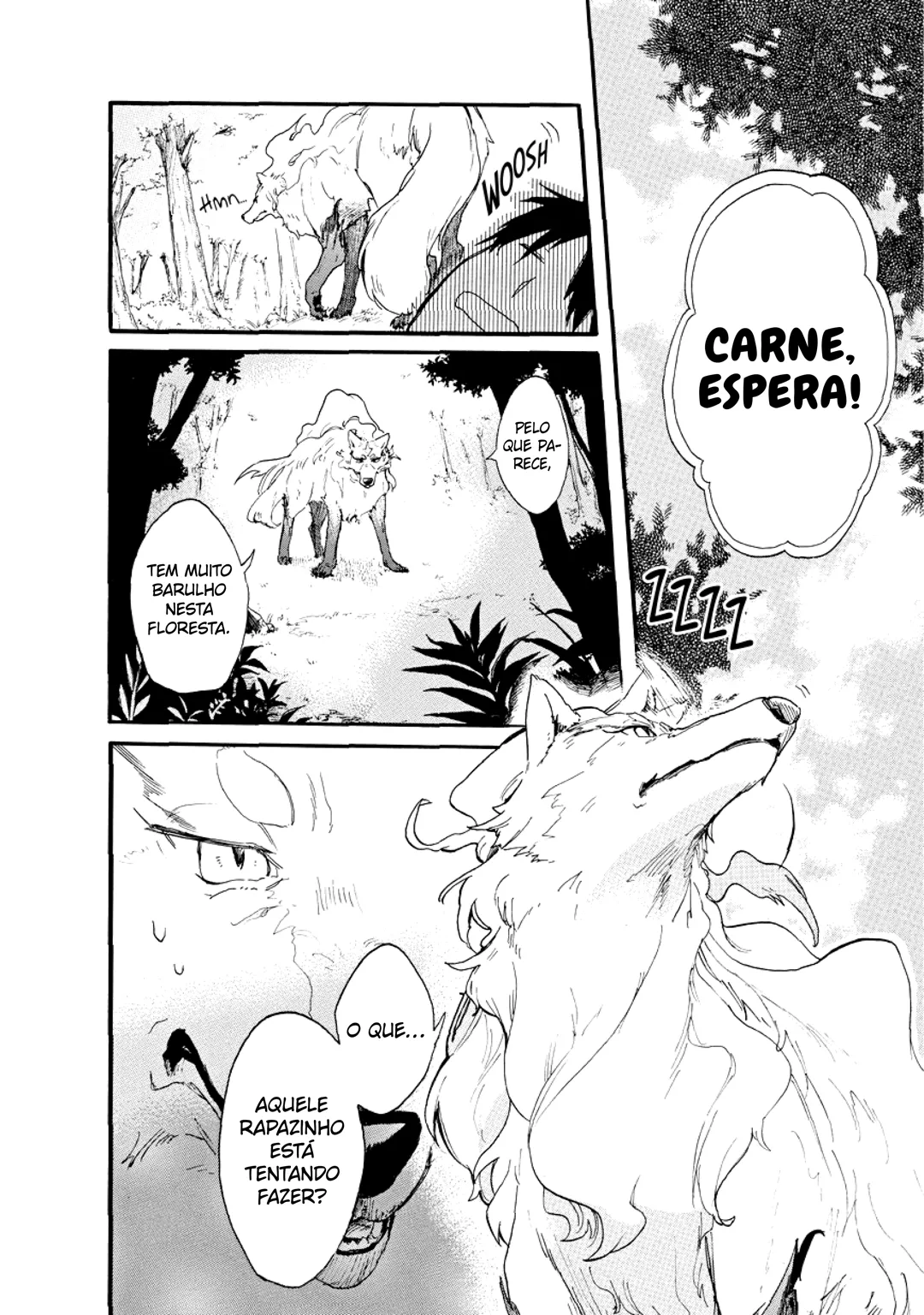 Cap 1 página 13