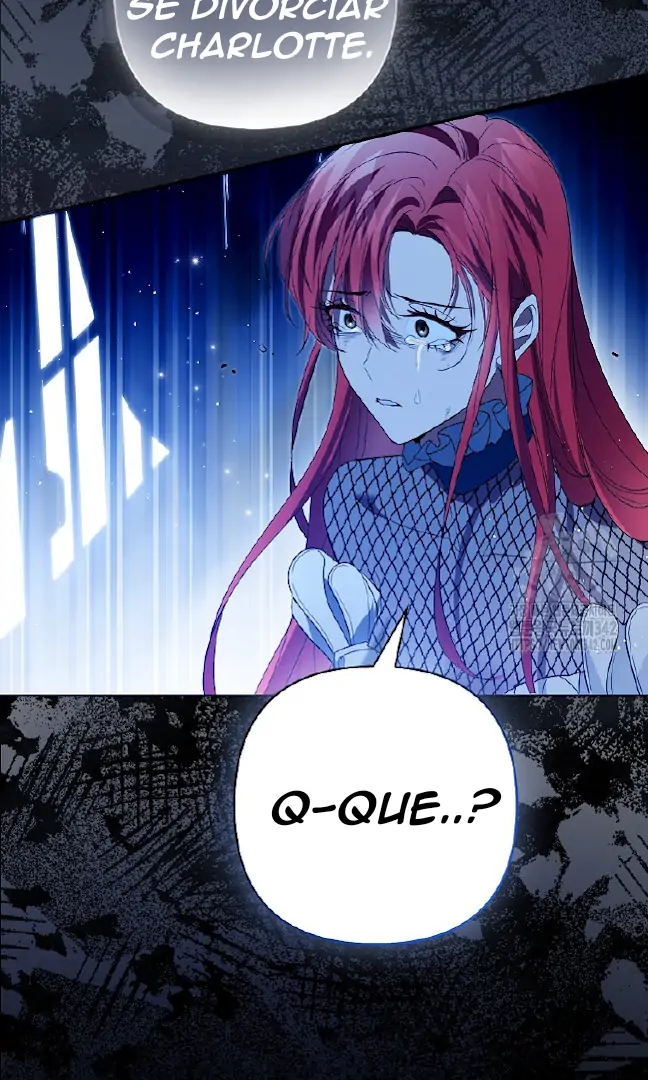 Cap 2 página 26