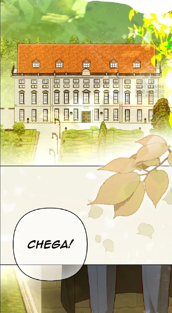 Cap 3 página 114