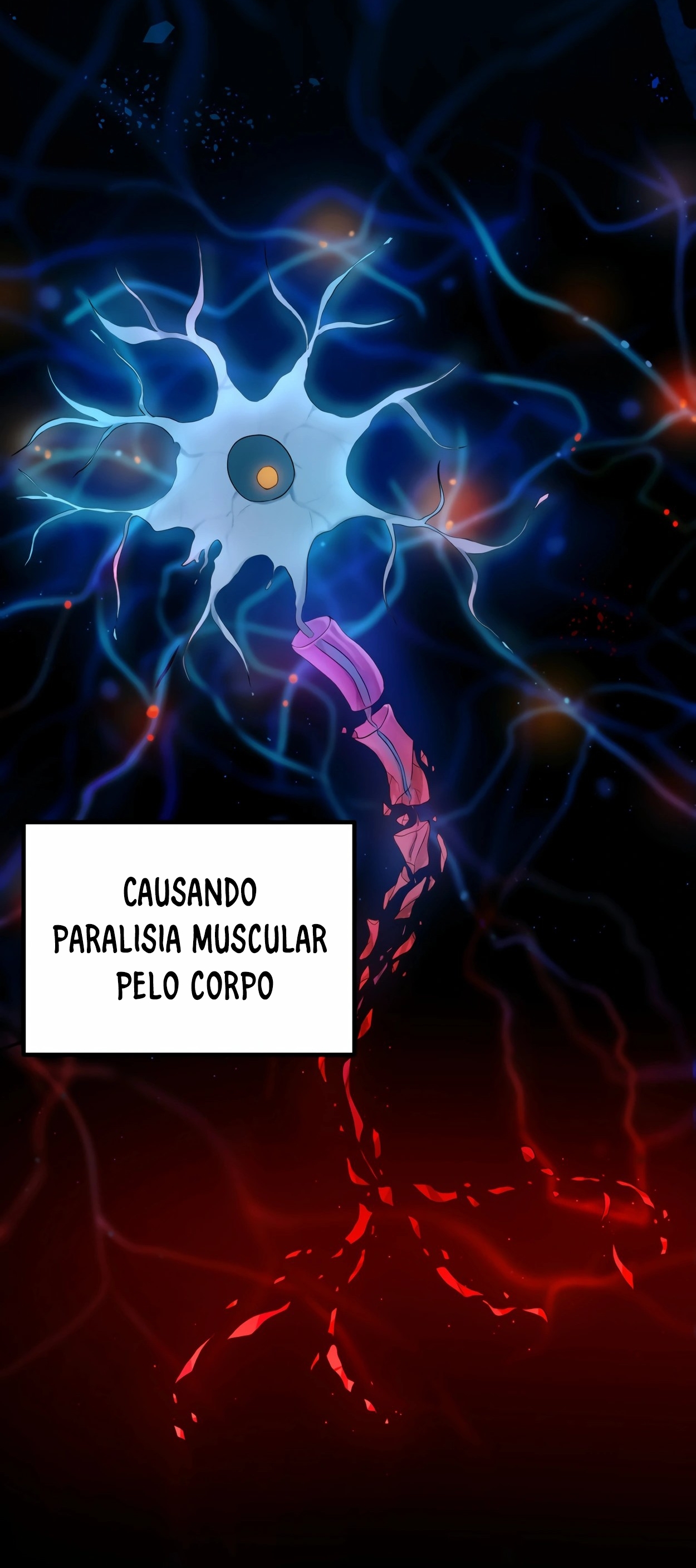 Cap 1 página 29