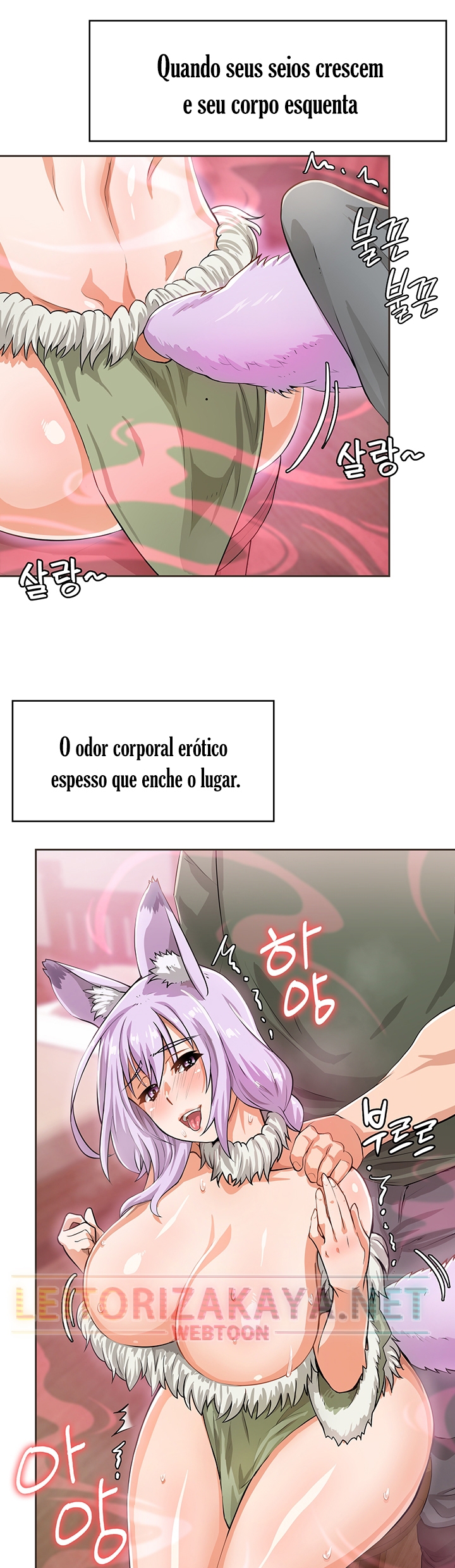Cap 3 página 22