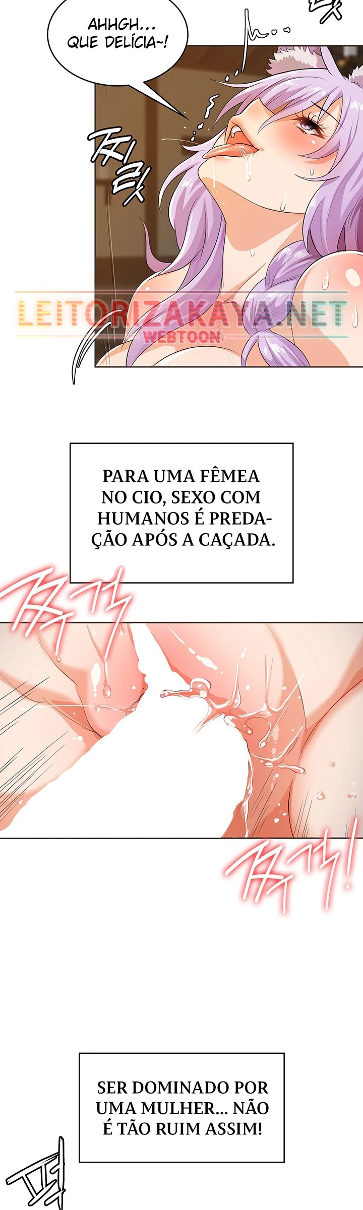 Cap 6 página 17