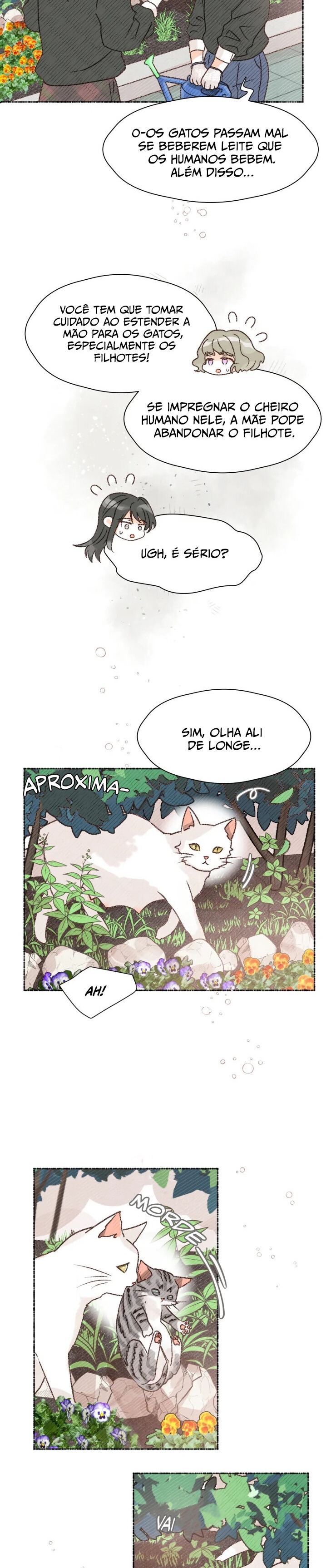 Cap 8 página 7
