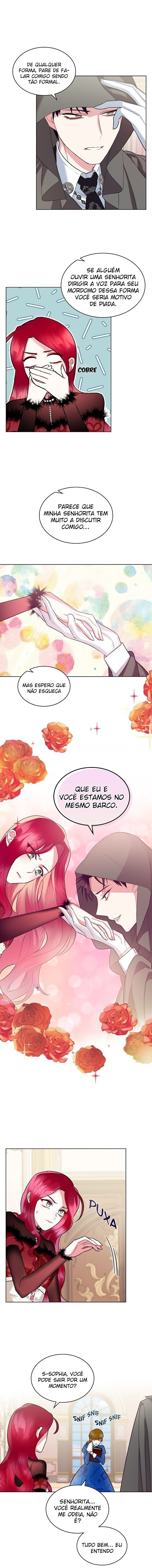 Cap 6 página 17