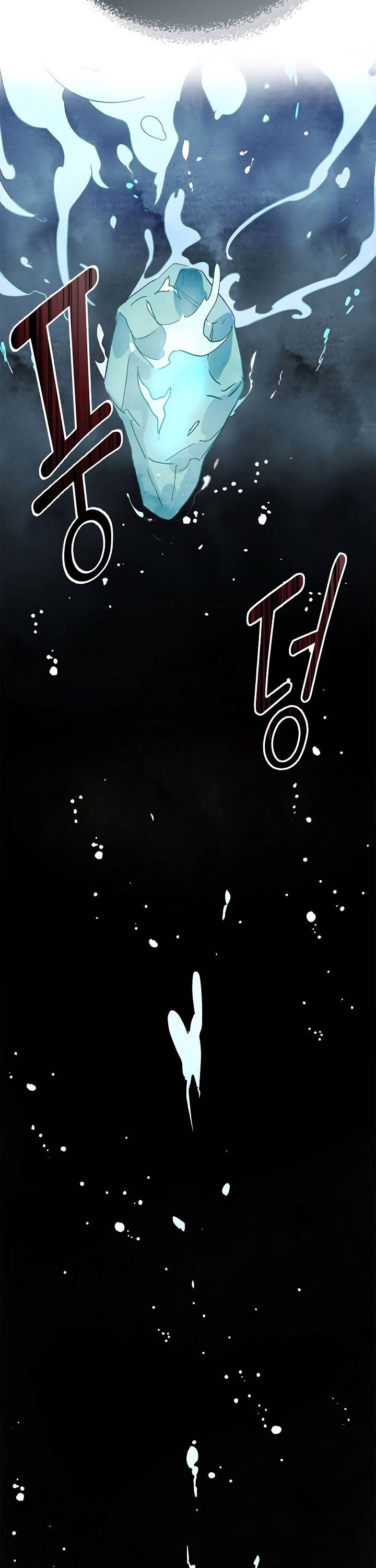 Cap 1 página 17