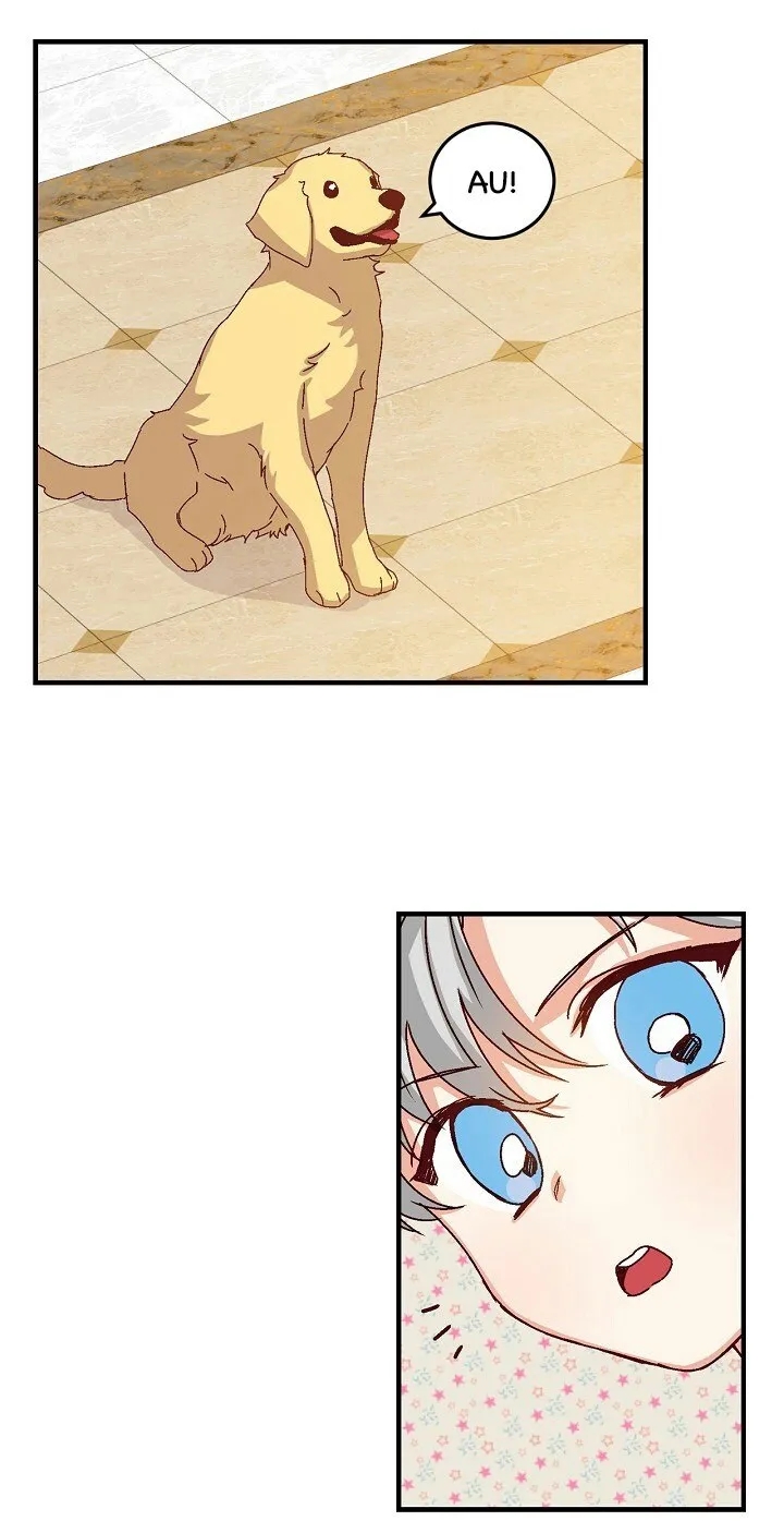 Cap 8 página 41