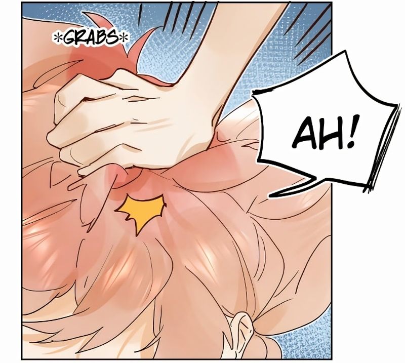 Cap 3 página 66
