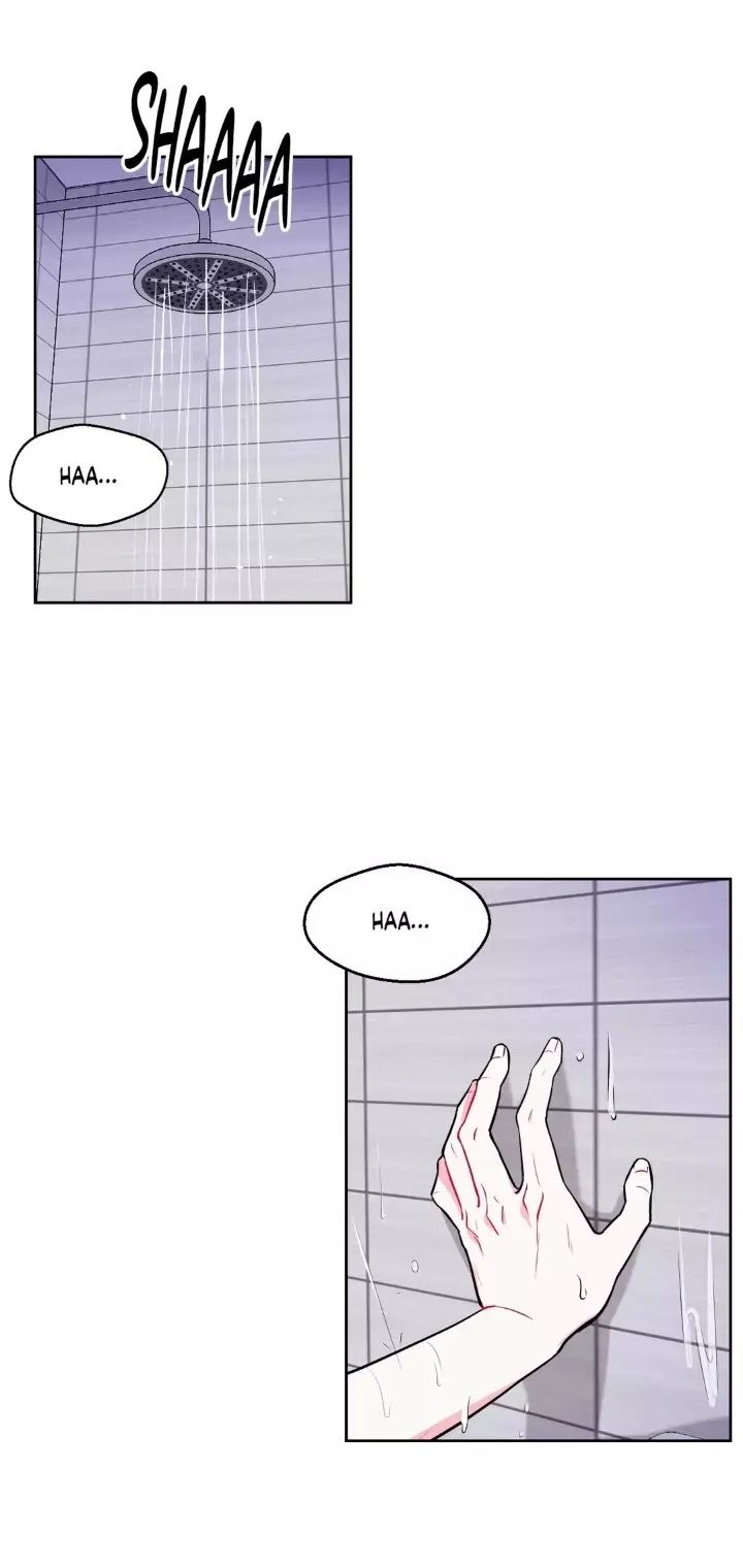 Cap 6 página 31