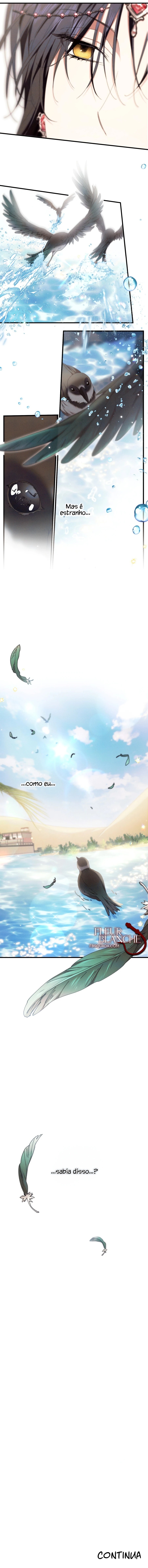 Cap 8 página 11