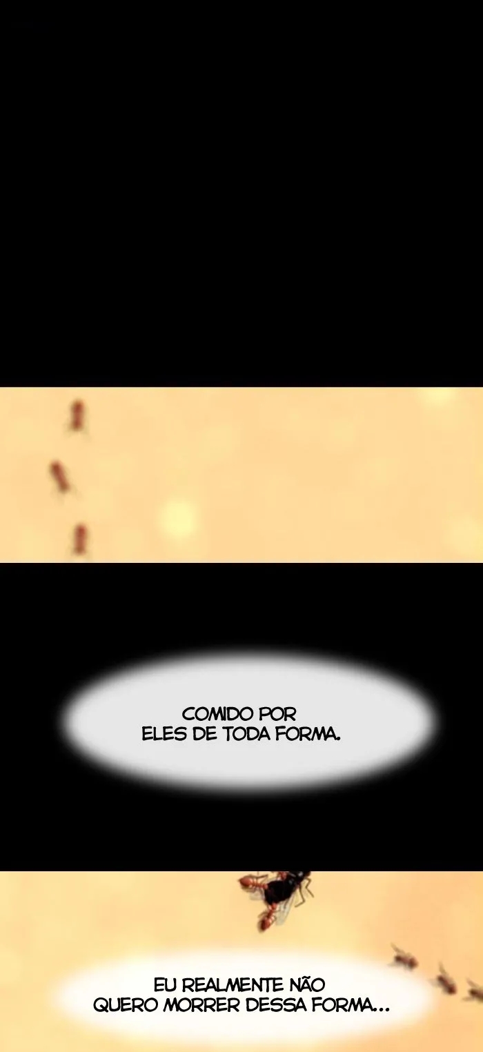 Cap 4 página 25