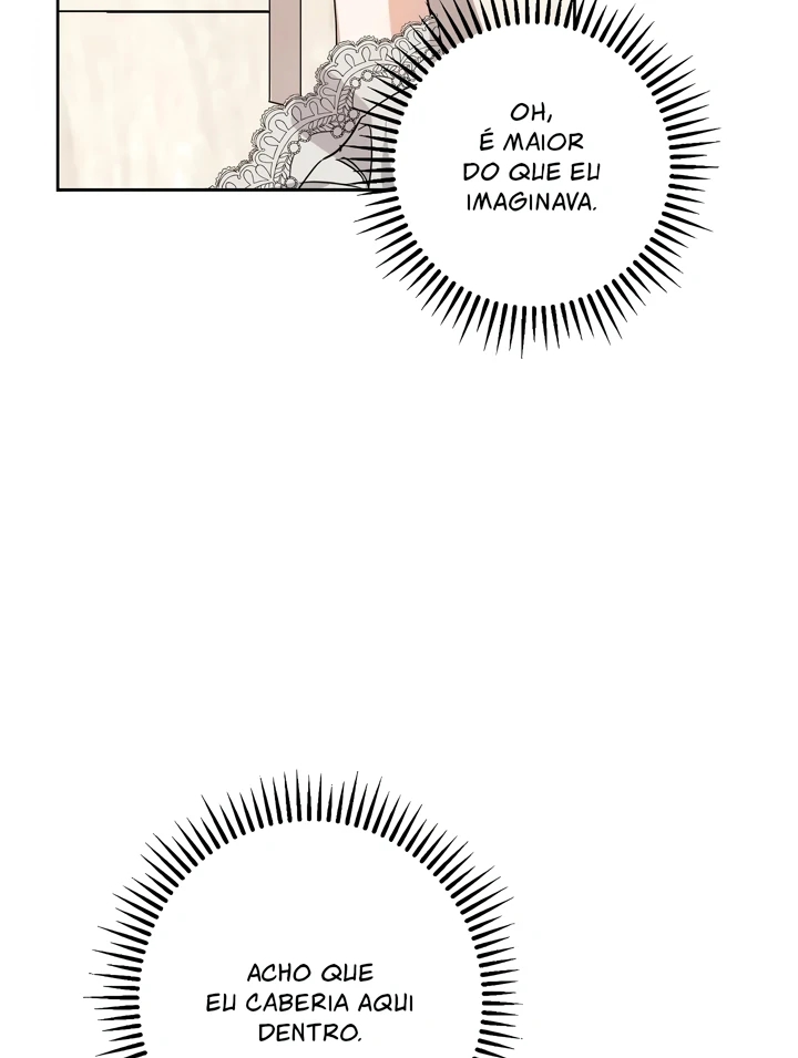 Cap 4 página 17