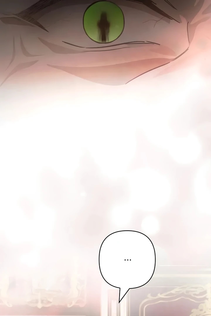 Cap 4 página 77