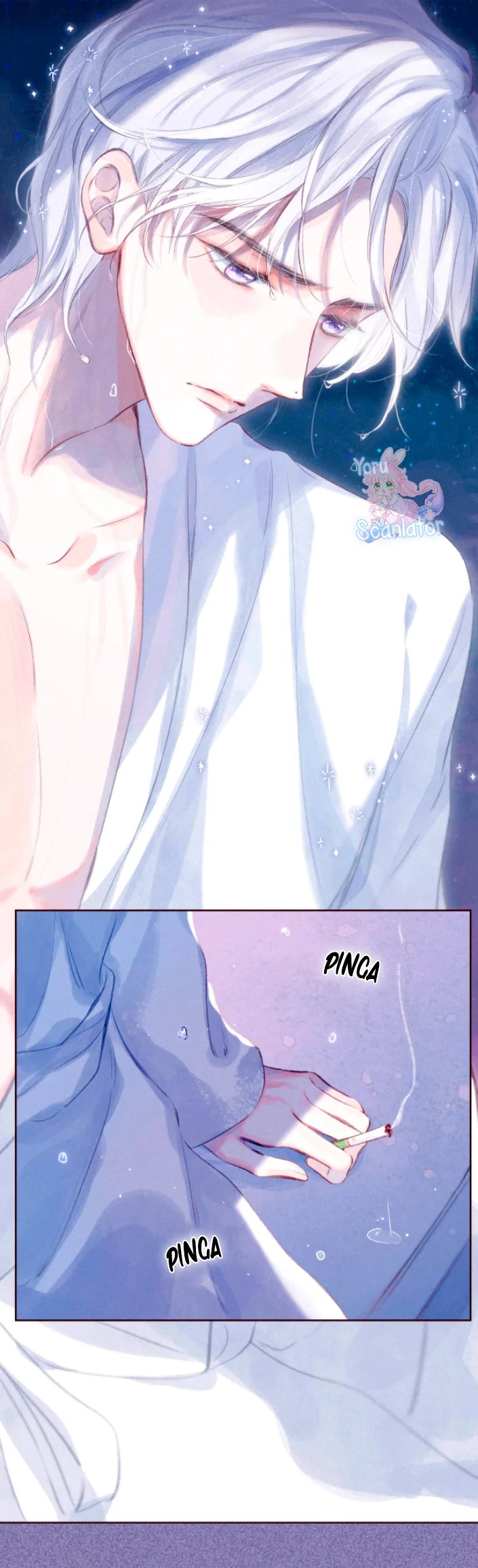 Cap 3 página 29