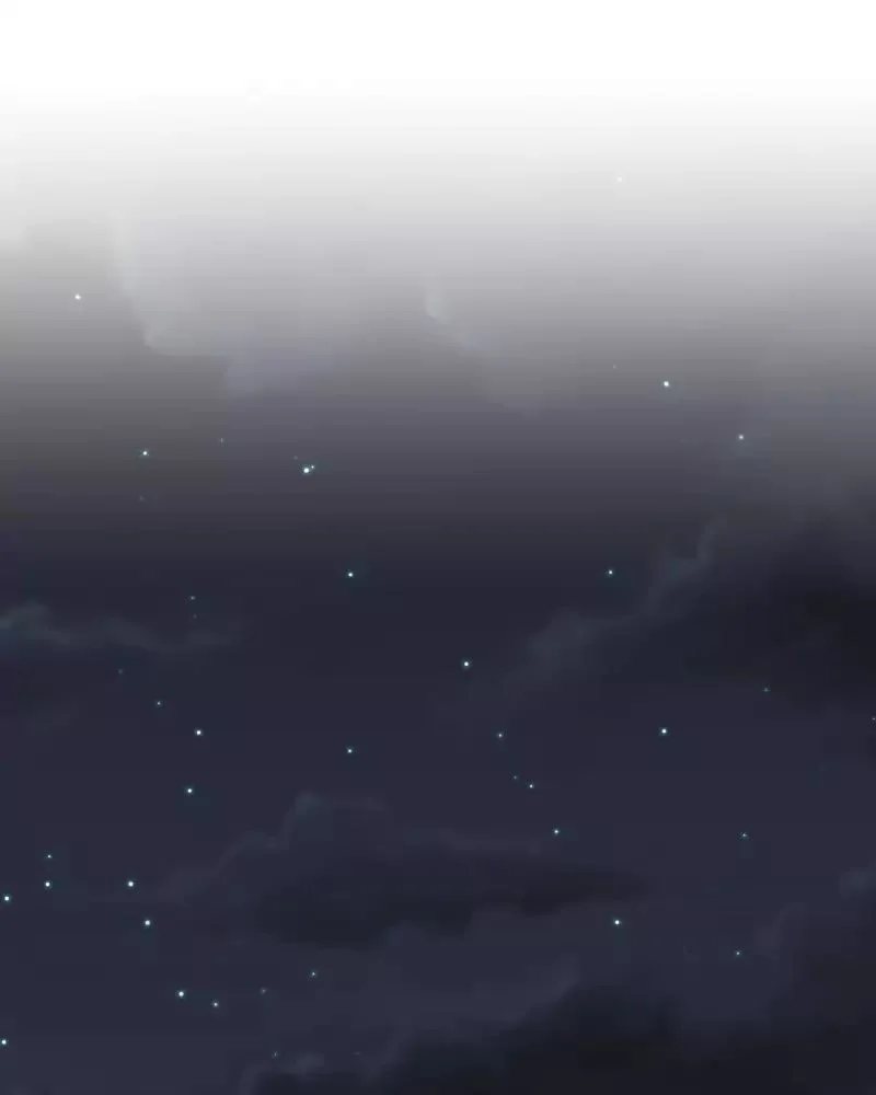 Cap 3 página 13