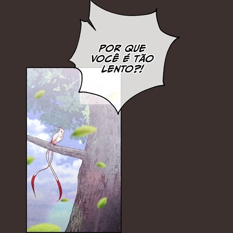Cap 12 página 58