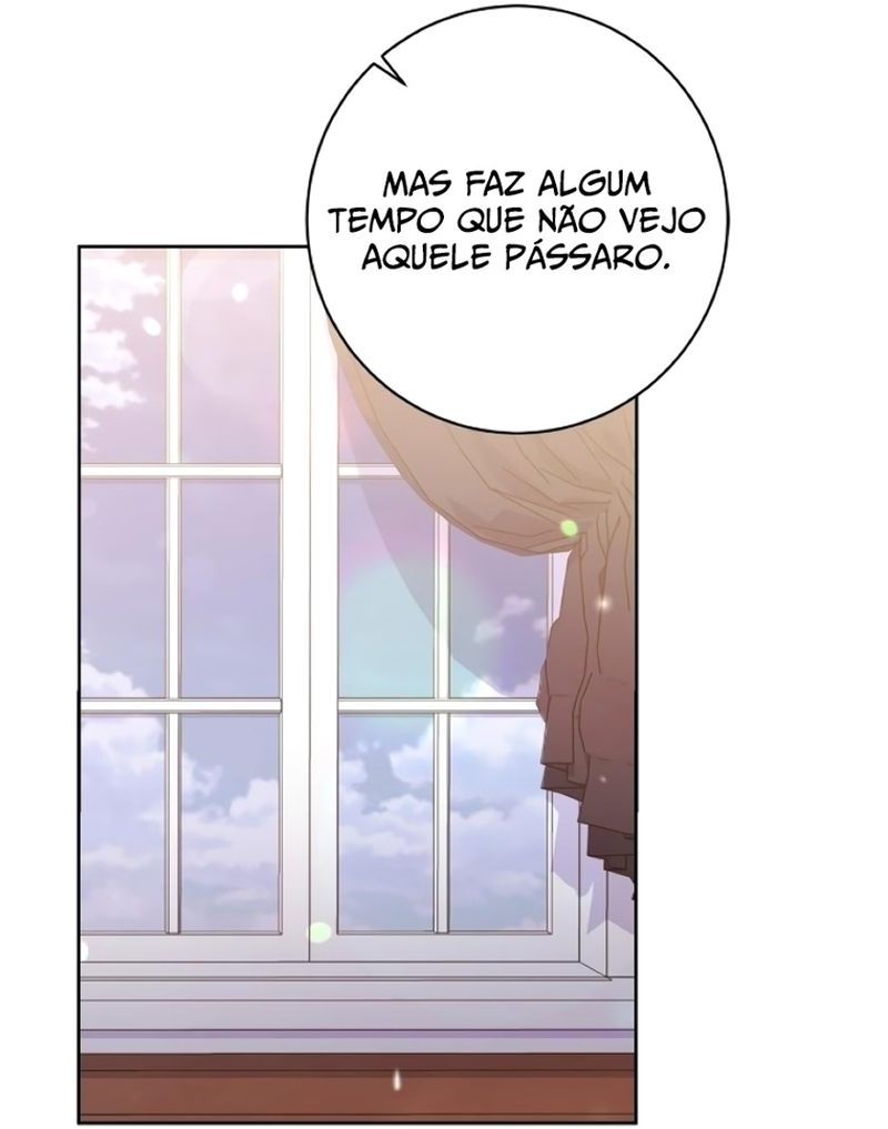 Cap 6 página 23
