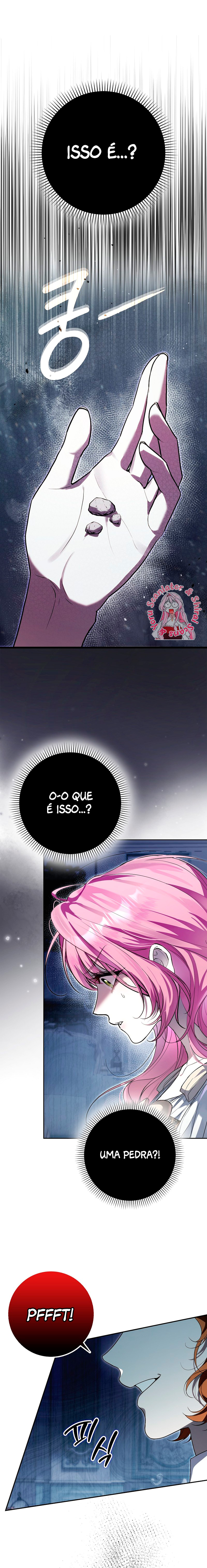 Cap 5 página 17
