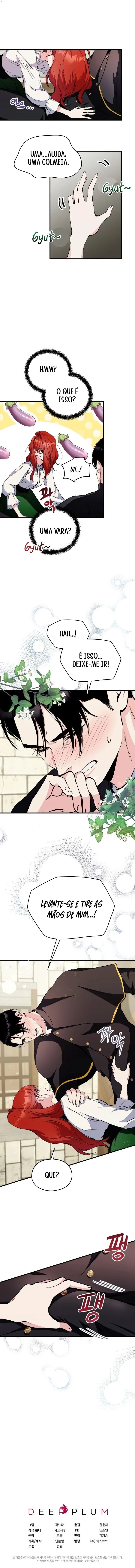 Cap 1 página 29