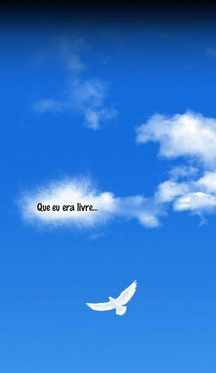 Cap 7 página 100