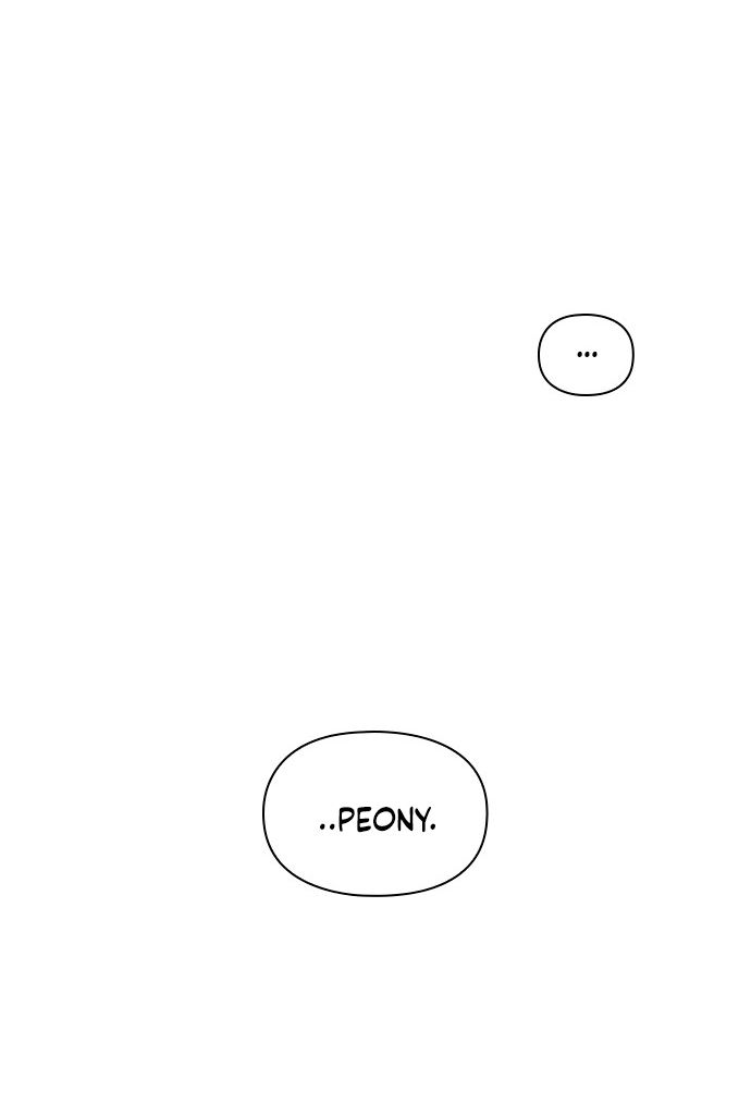 Cap 5 página 48
