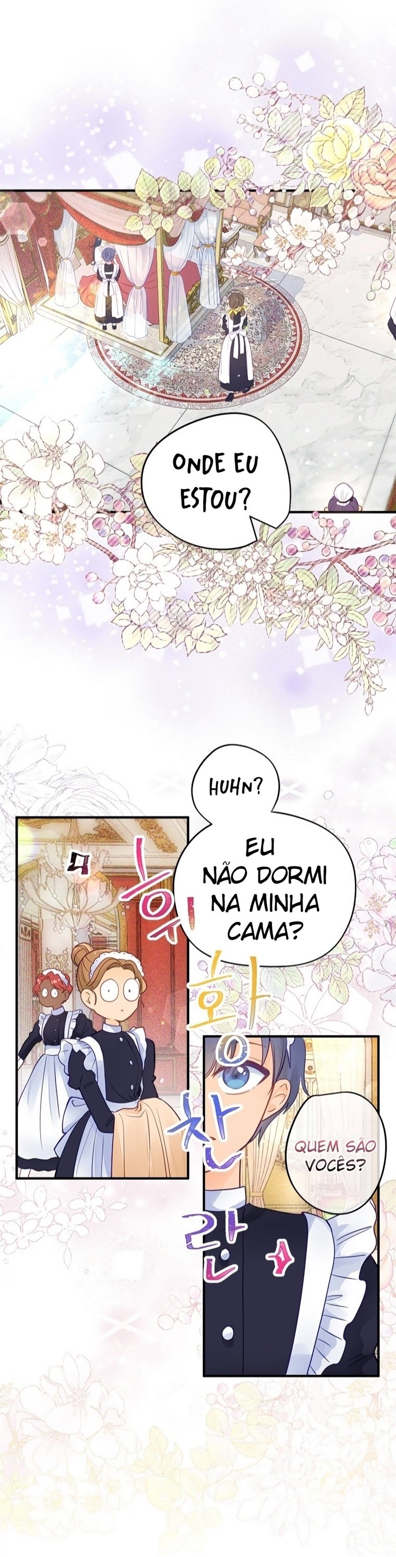 Cap 1 página 17
