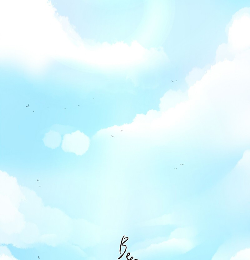 Cap 4 página 17