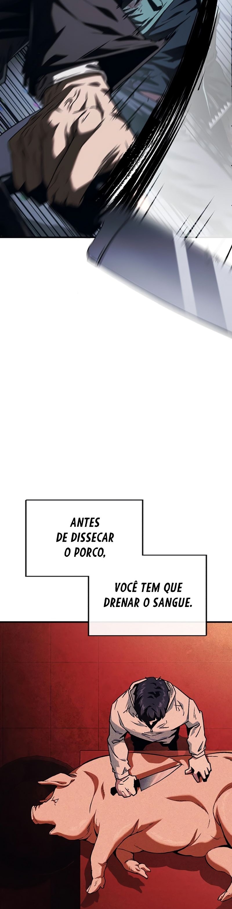 Cap 5 página 24