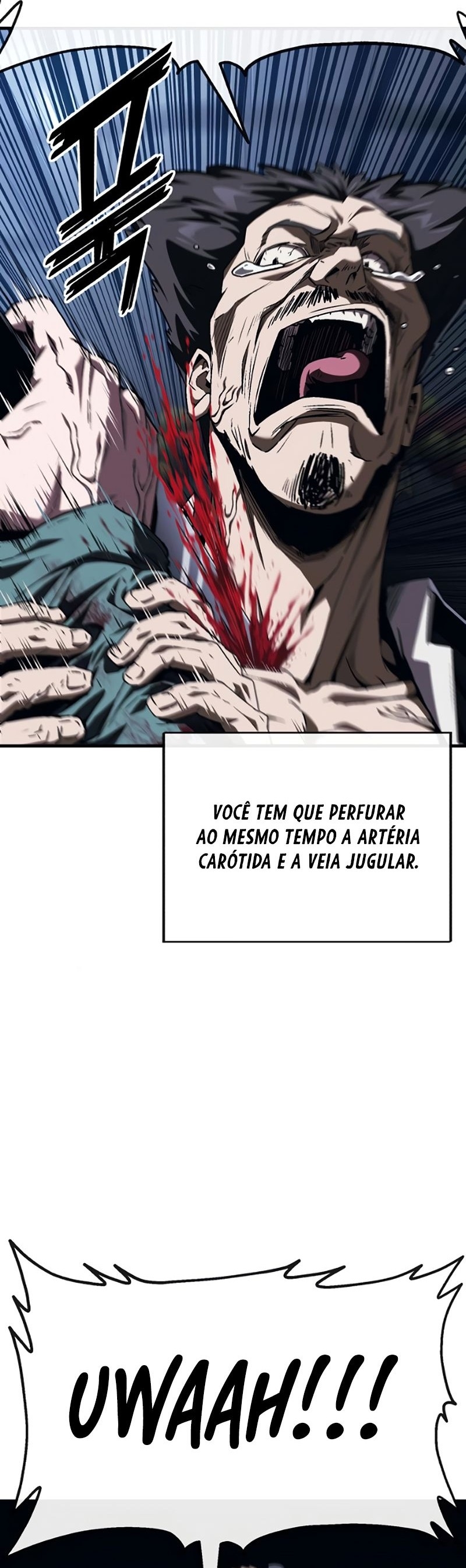 Cap 5 página 26