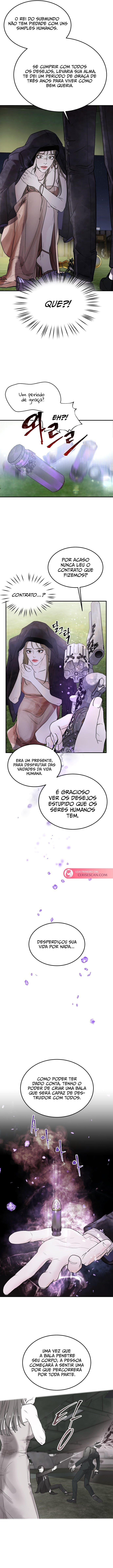 Cap 1 página 13