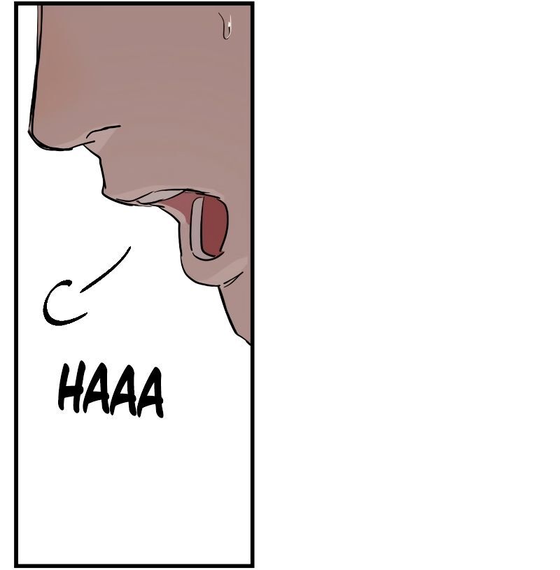 Cap 1 página 345
