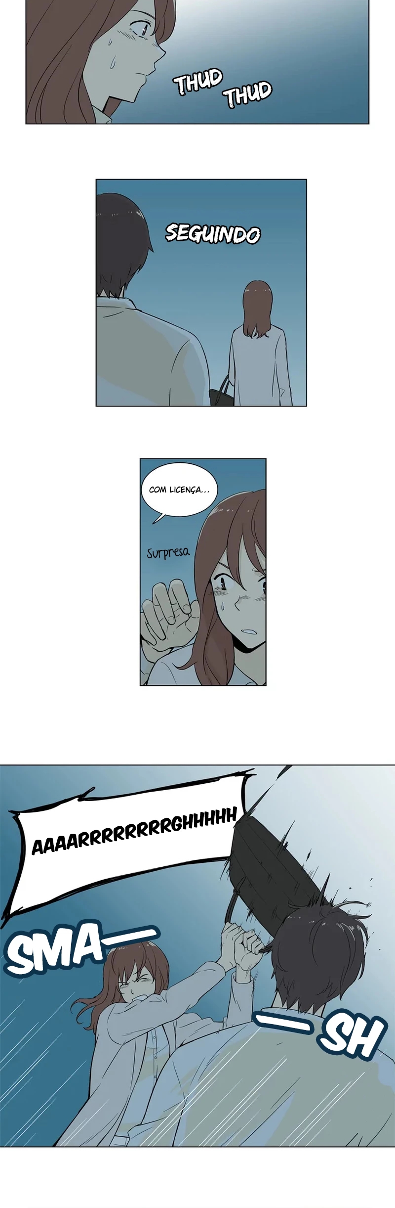 Cap 3 página 17
