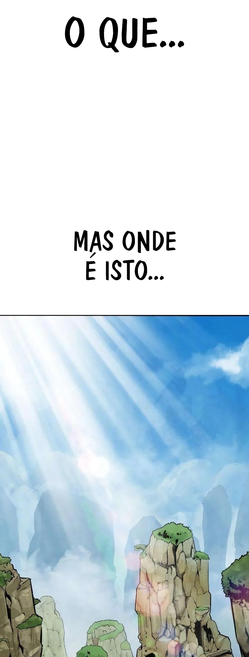 Cap 1 página 47
