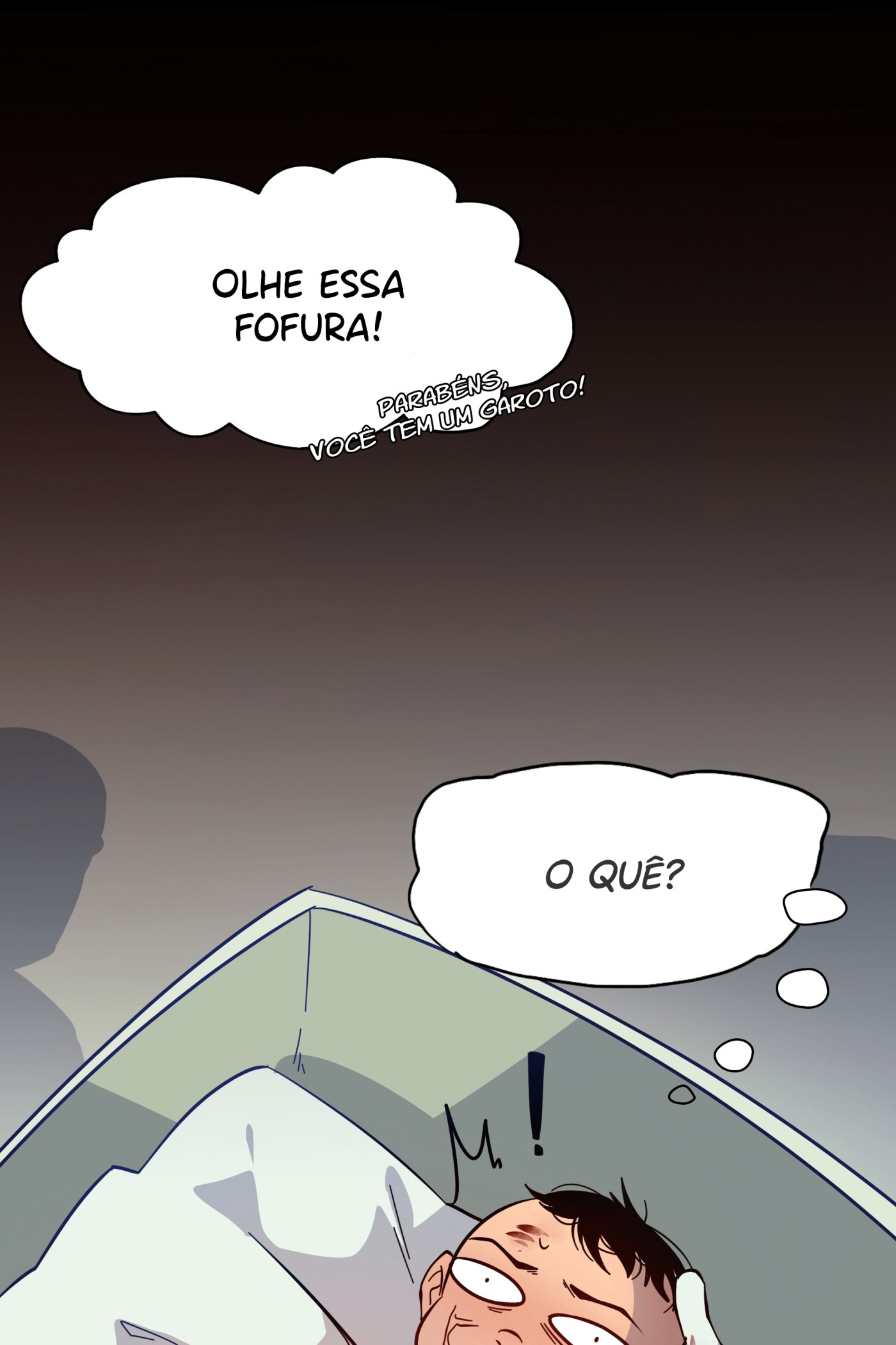 Cap 1 página 17
