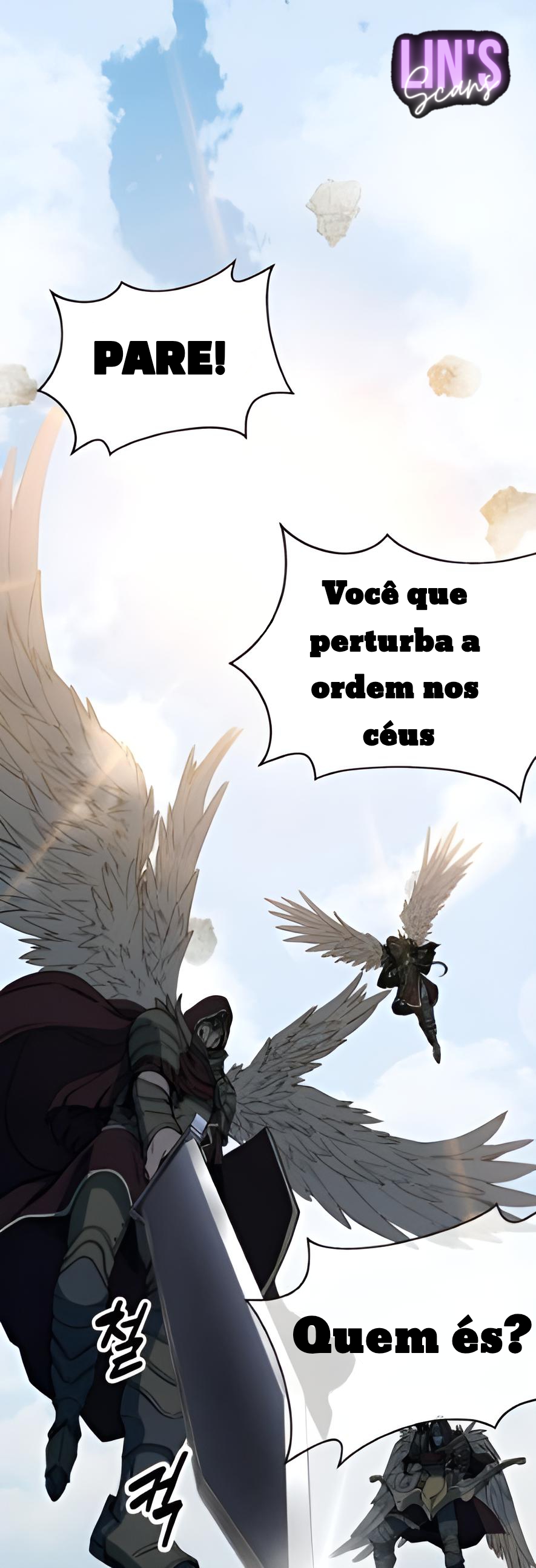 Cap 1 página 17