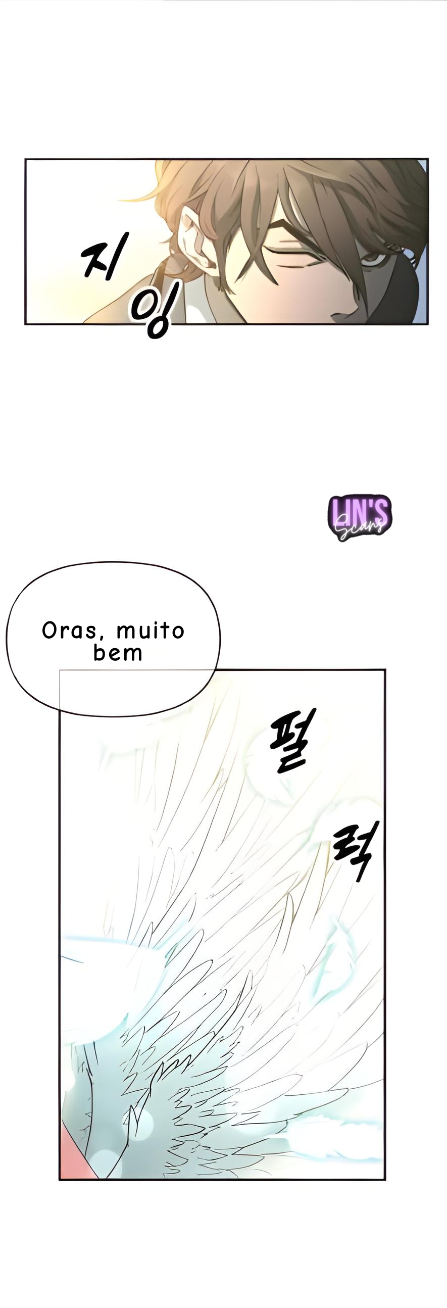 Cap 1 página 53