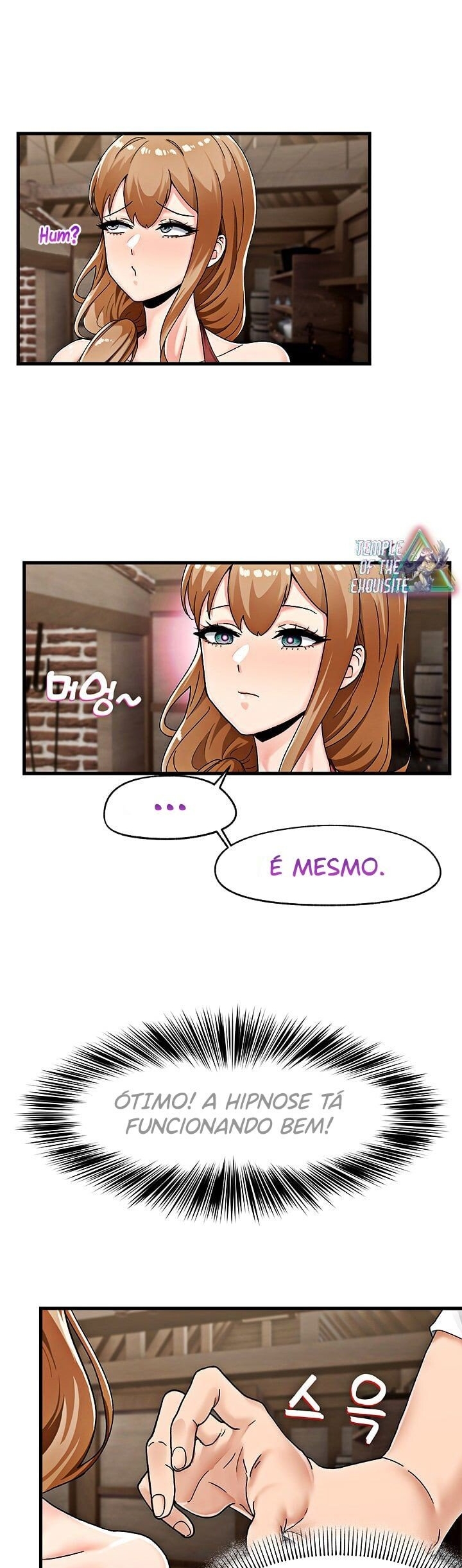Cap 2 página 40
