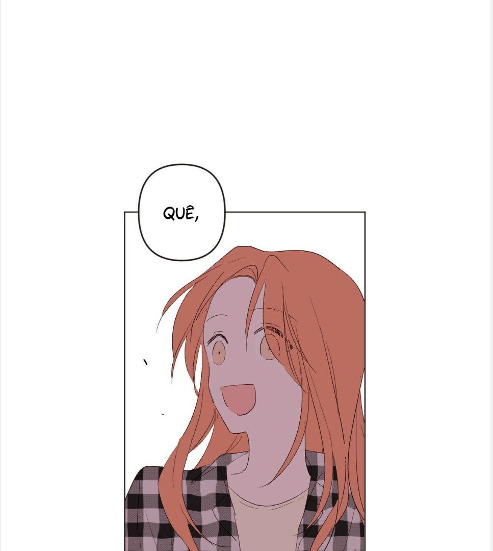 Cap 3 página 55