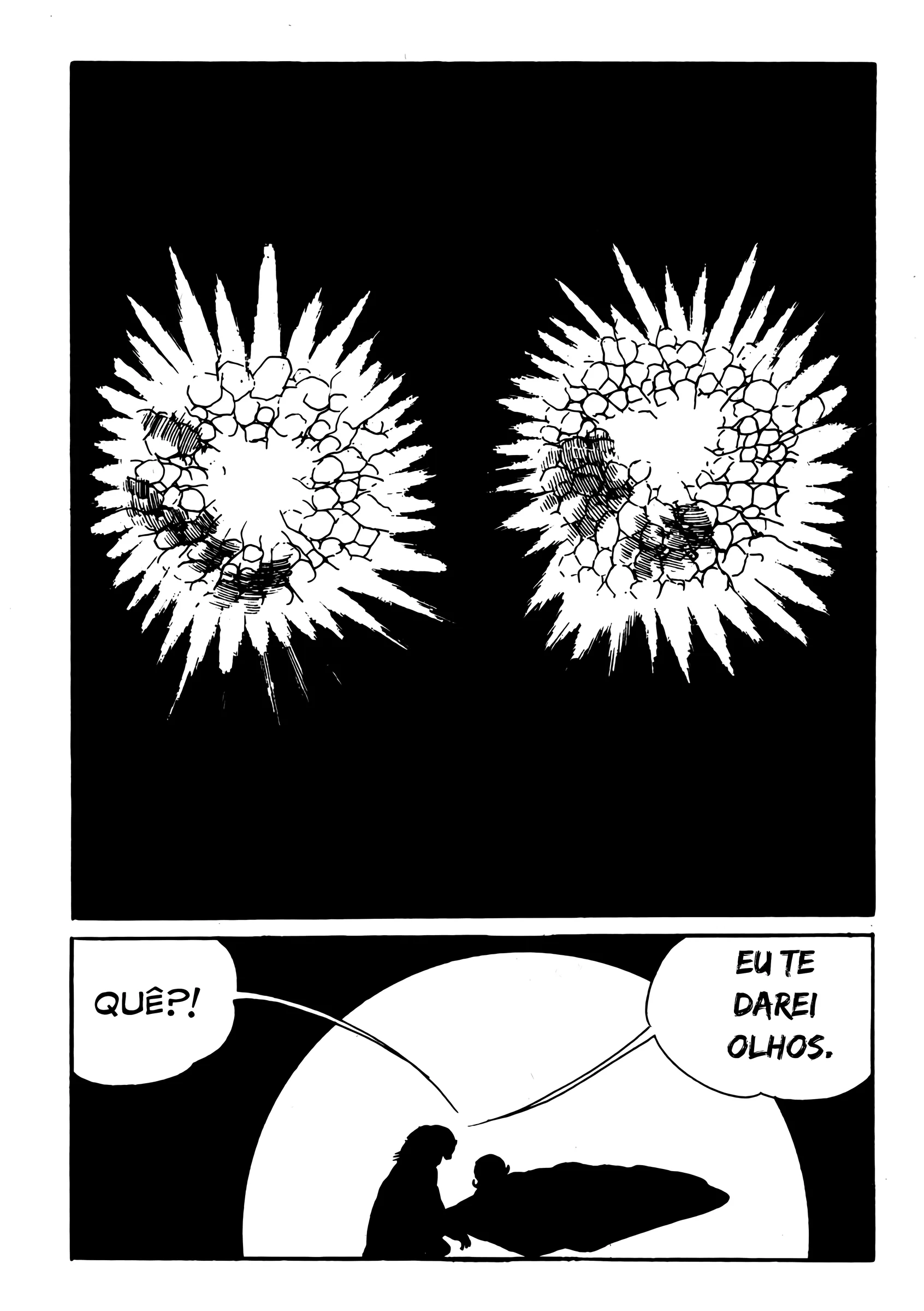 Cap 1.2 página 13