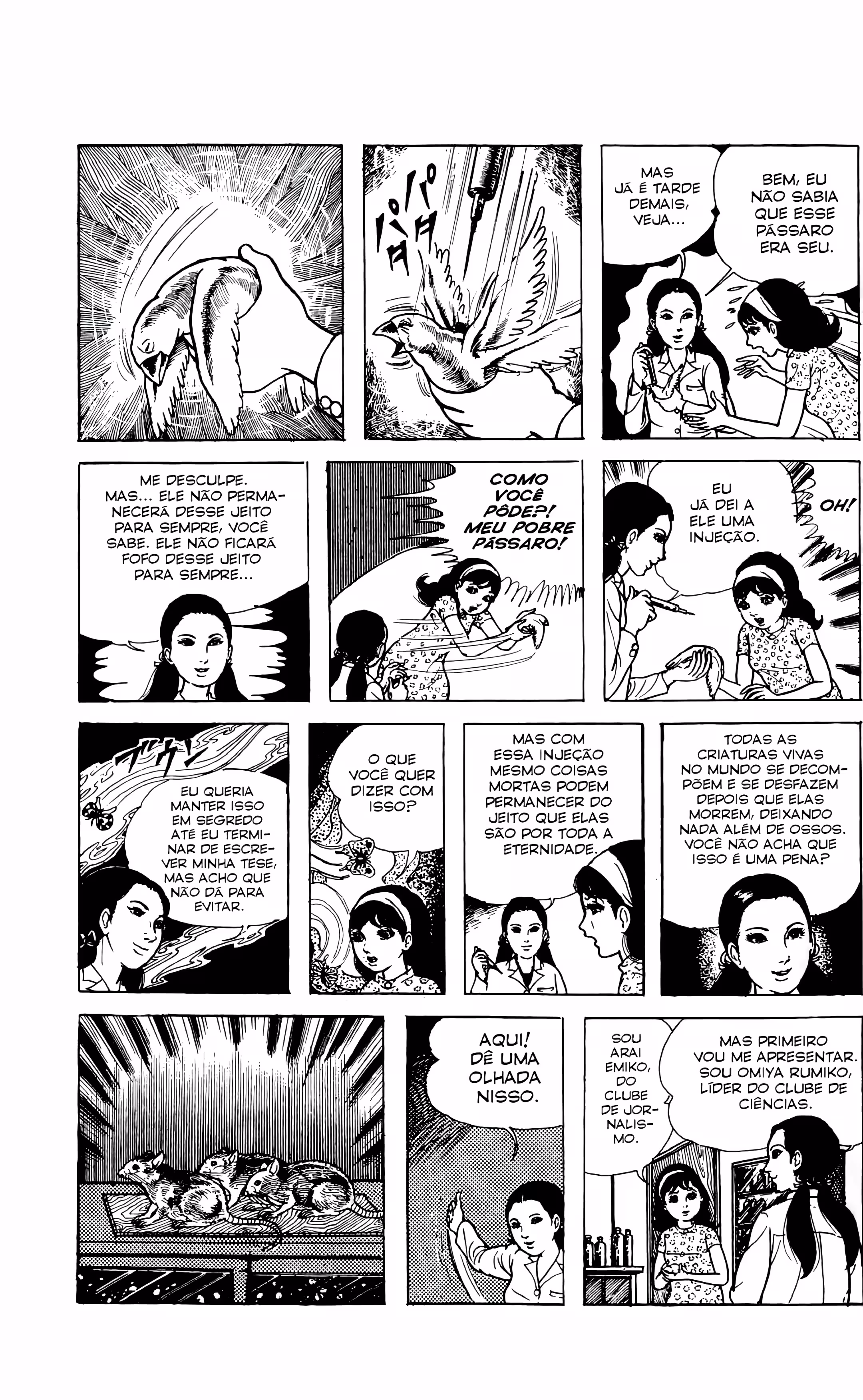 Cap 3.1 página 6